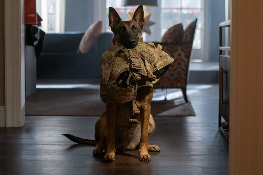 Channing Tatum en Dog. Un Viaje salvaje