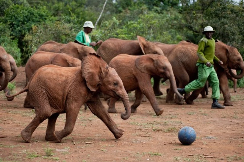 Imagen de born-to-be-wild