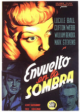 poster of movie Envuelto en la sombra
