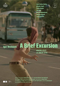 poster of movie A Brief Excursion