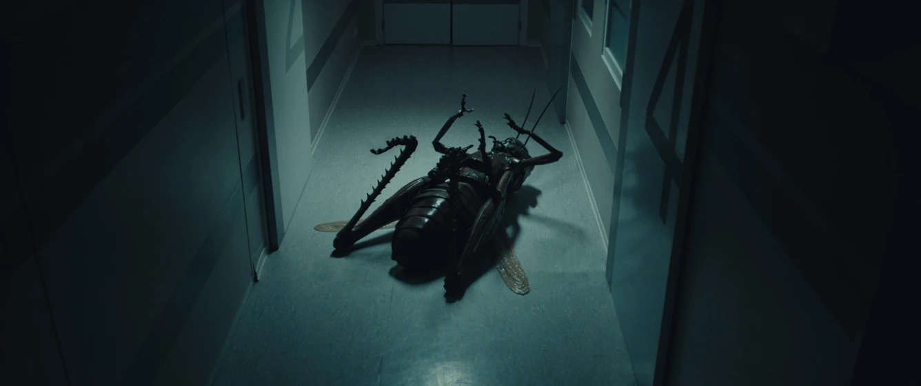 Imagen de the-kiss-of-the-grasshopper