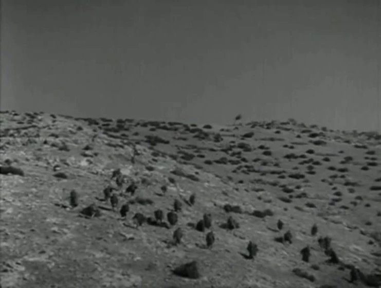 Imagen de harka