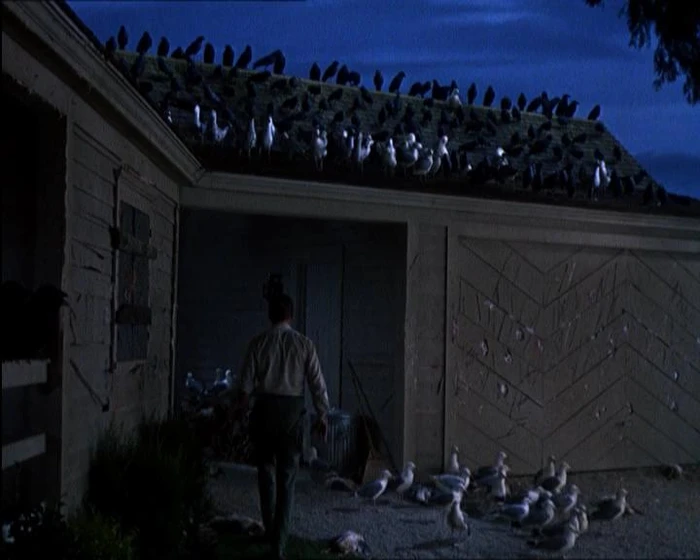 Imagen de Los Pájaros