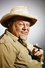 picture of actor Burl Ives