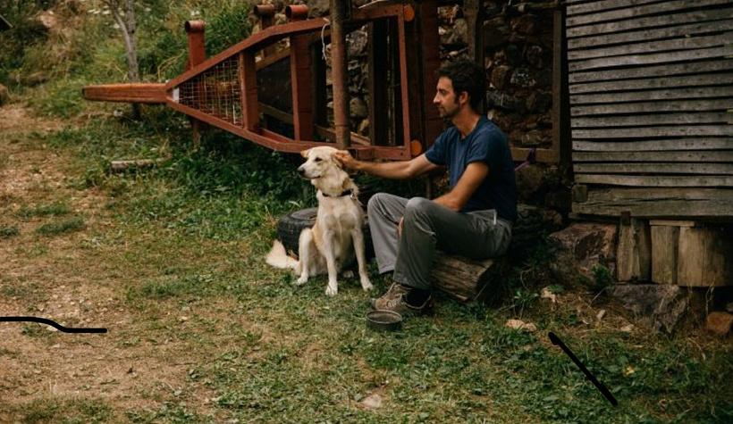 Imagen de Shame and Money