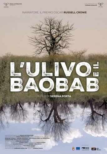 Poster de L'ulivo e il Baobab