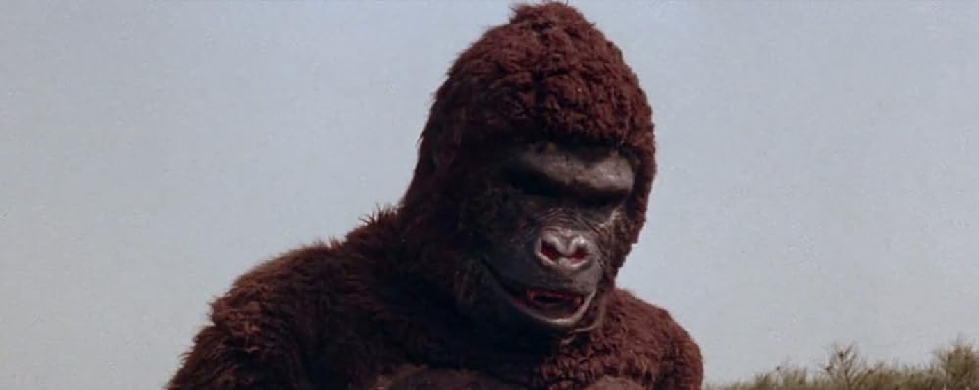 Imagen de el-gorila-ataca