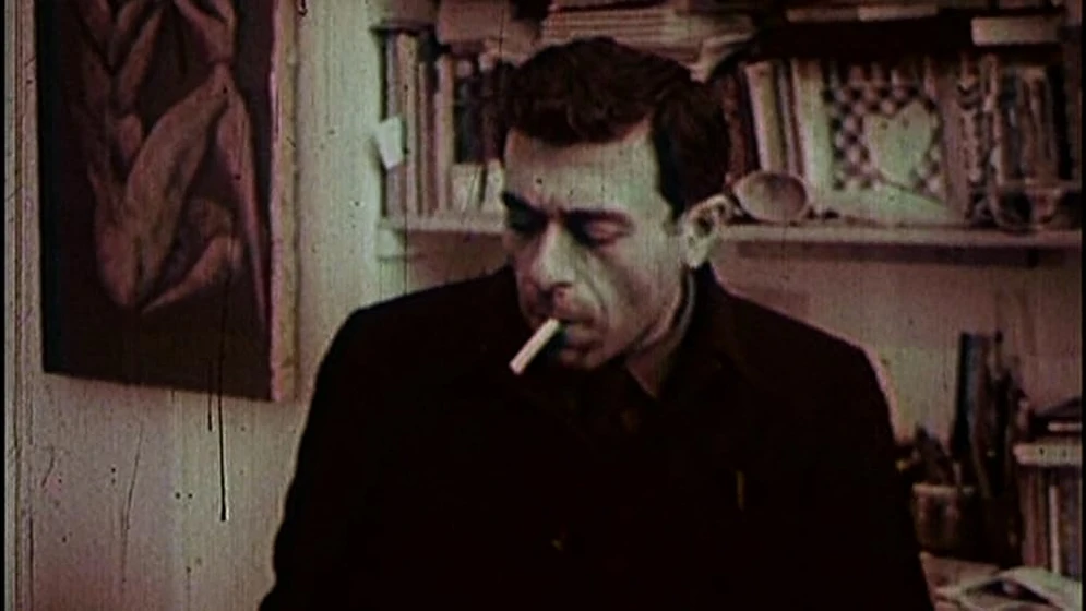Bahman Mohasses en fifi-howls-from-happiness