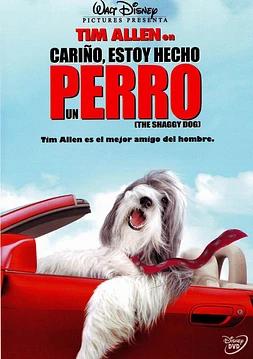 Cariño, estoy hecho un perro