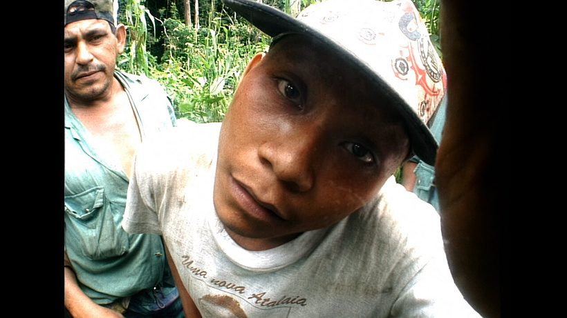 Imagen de Amazomania