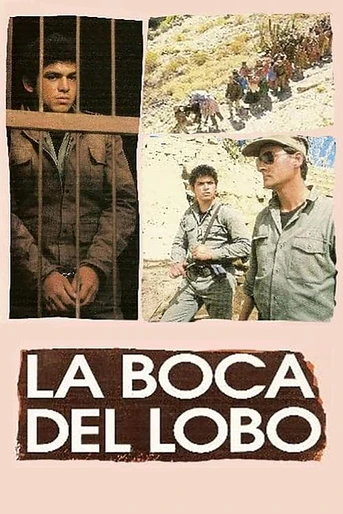 Poster de La boca del lobo