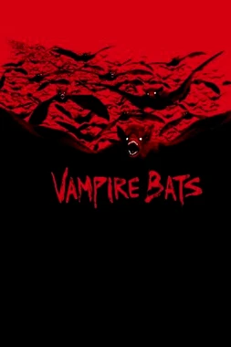 poster of movie Vampire Bats