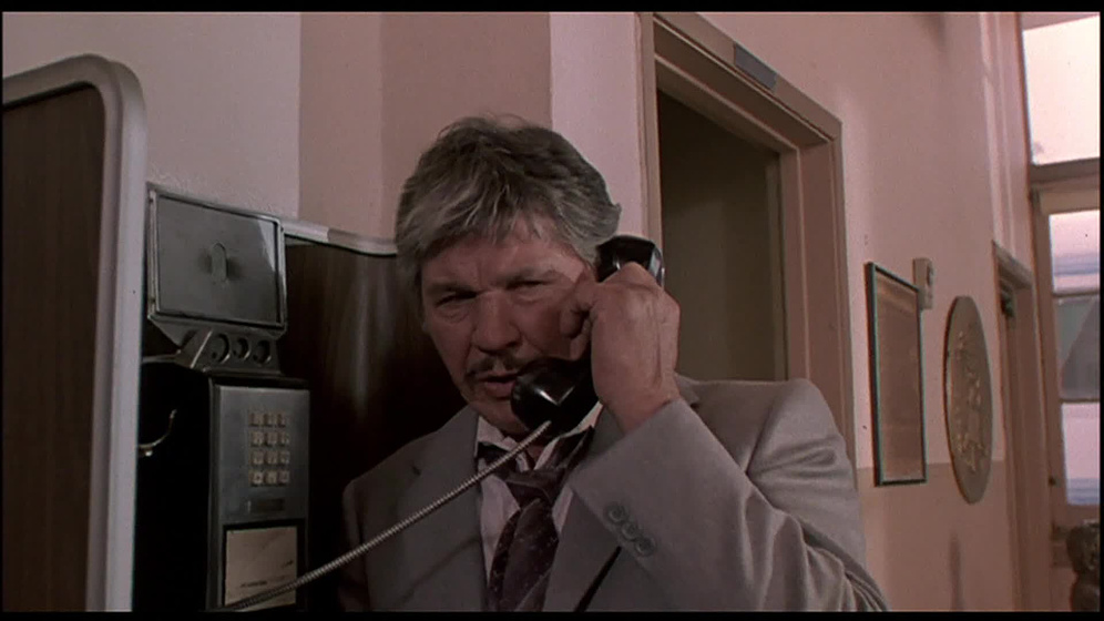 Charles Bronson en El Guardaespaldas de la Primera Dama