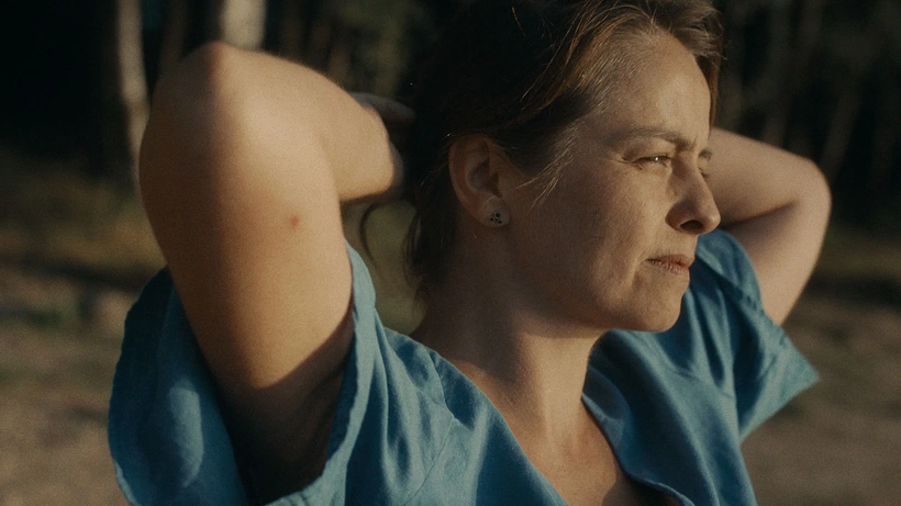 Imagen de Year of the Widow