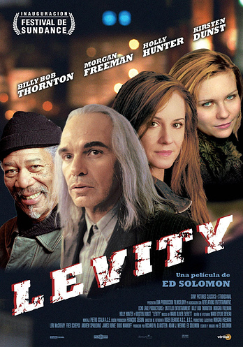 poster of content Levity