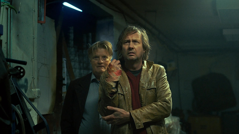 Imagen de The Cat Kingdom