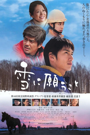 Poster de What the Snow brings
