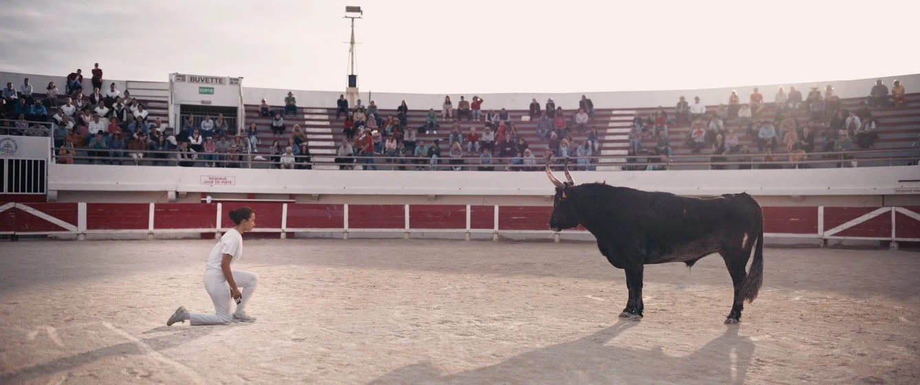 Imagen de animale