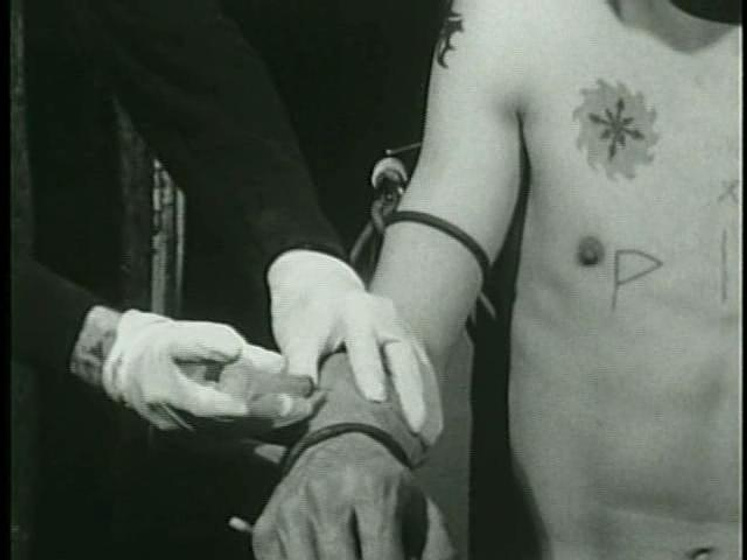 Imagen de Pig