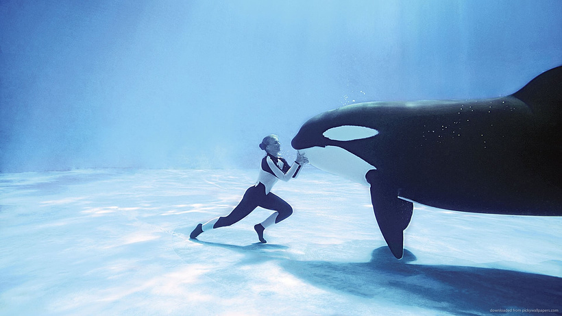 Imagen de Blackfish