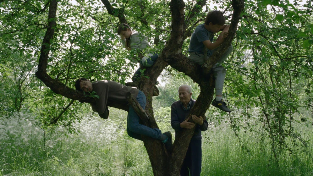 Imagen de wind-talk-to-me