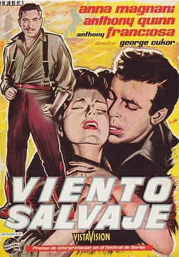 poster of movie Viento salvaje