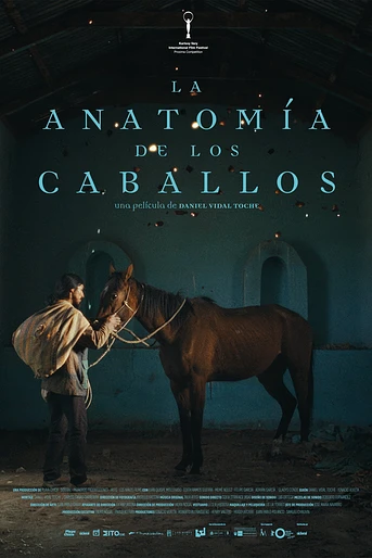 Poster de La Anatomía de los Caballos