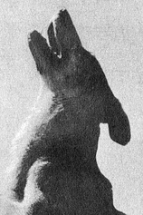 picture of actor Lightning the Dog