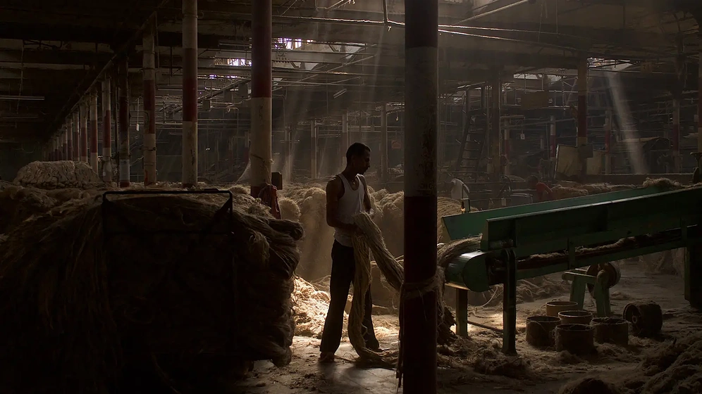 Imagen de The Golden Thread