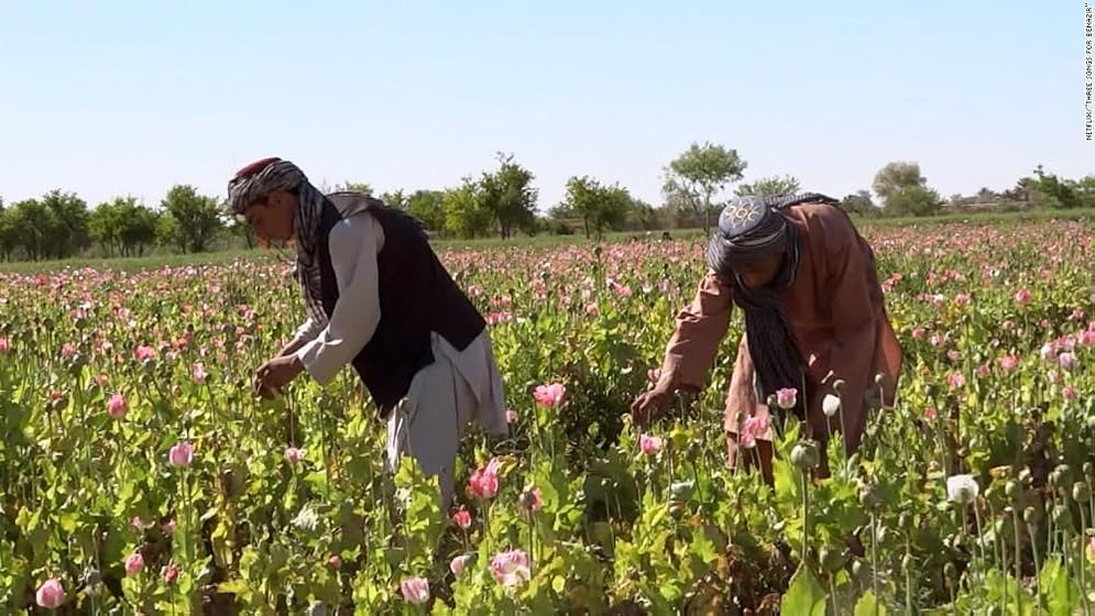 Imagen de tres-canciones-para-benazir