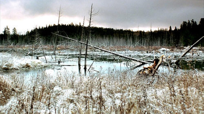 Imagen de That Beautiful Somewhere