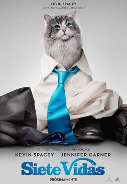 Siete Vidas. Este gato es un peligro