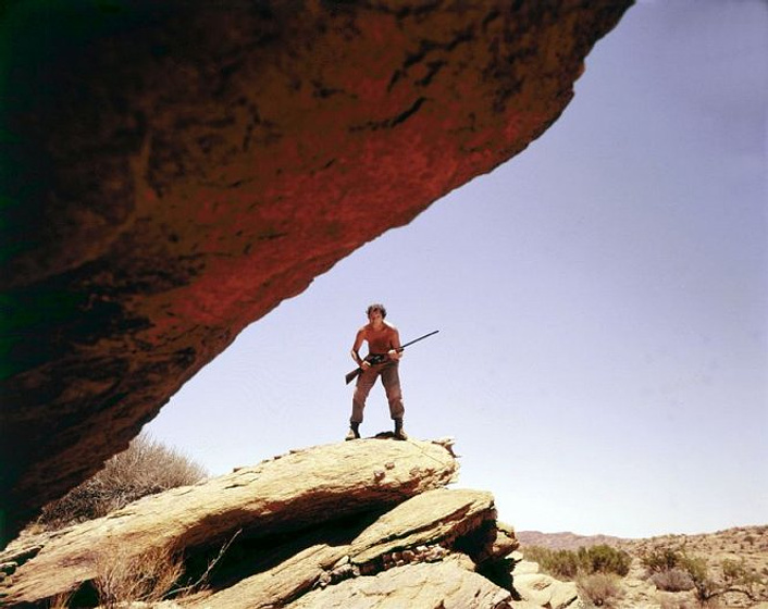 Imagen de Safari de Diamantes