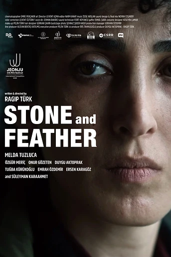 Poster de Stone and Feather