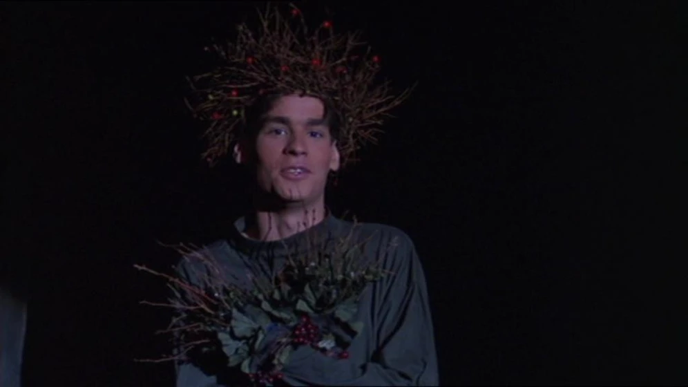 Robert Sean Leonard en el-club-de-los-poetas-muertos
