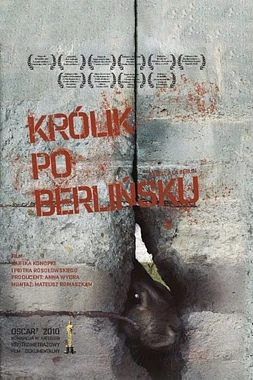 Rabbit à la Berlin