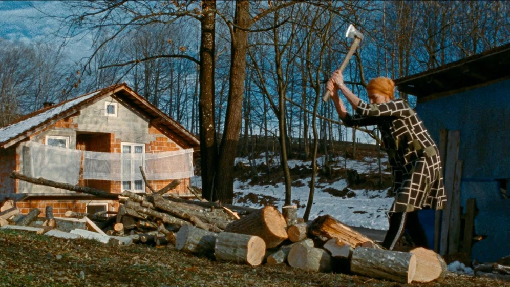 Imagen de the-landscape-and-the-fury