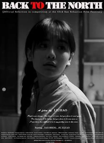 Poster de Back to the north