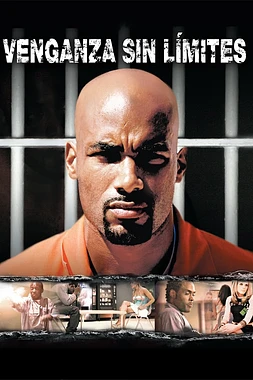 poster of movie Venganza sin Límites