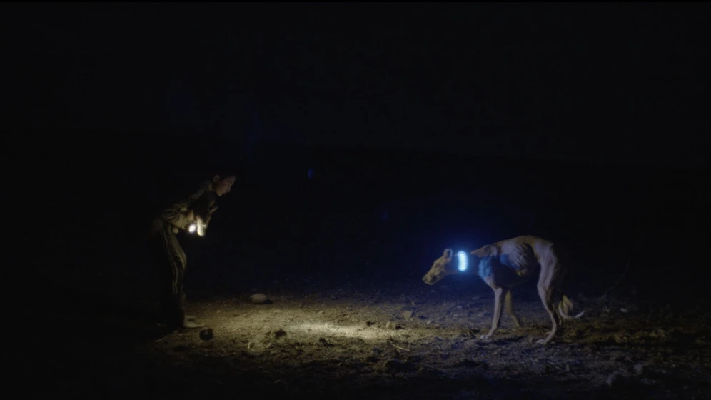 Imagen de empire-of-the-rabbits