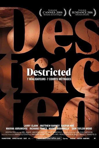 Poster de Destricted