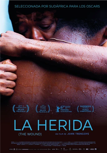 Poster de La Herida (The Wound)