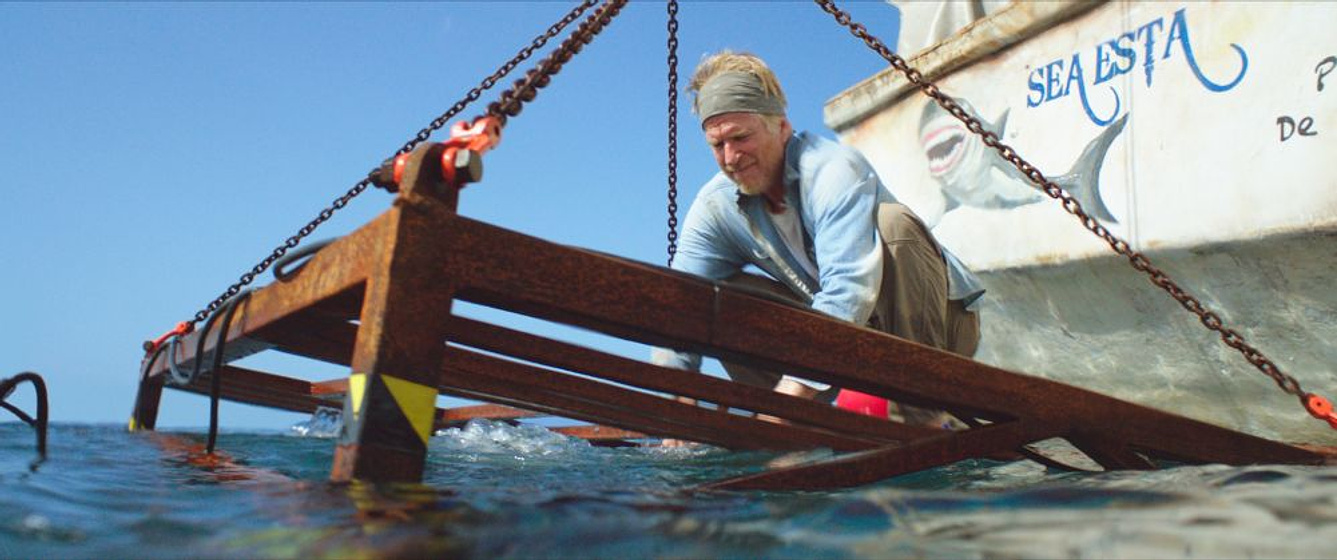 Matthew Modine en A 47 metros