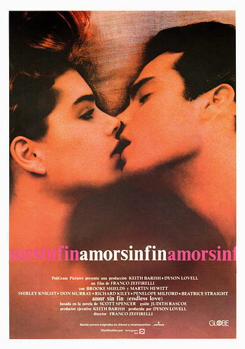 poster of content Amor sin fin