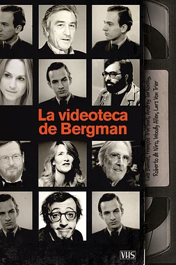 La Videoteca de Bergman