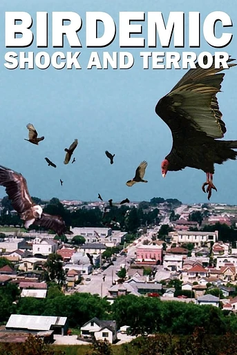 Poster de Birdemic: Shock and Terror