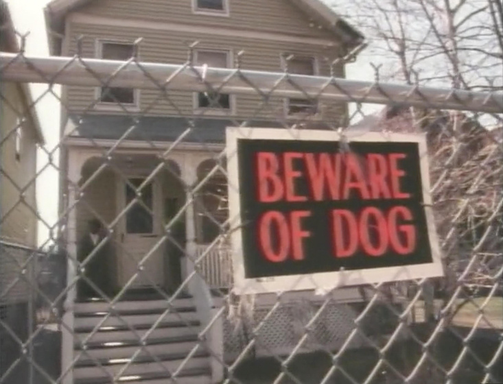 Imagen de a-little-vicious