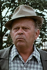 picture of actor Gerhard Wollner