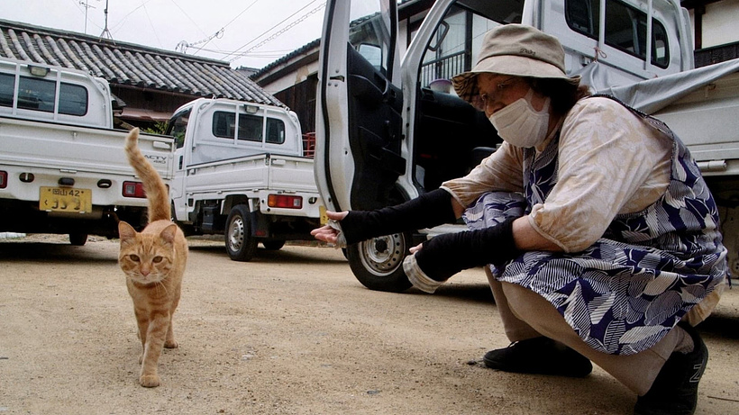 Imagen de The Cats of Gokogu Shrine