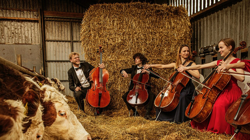 Imagen de Where Music Grows